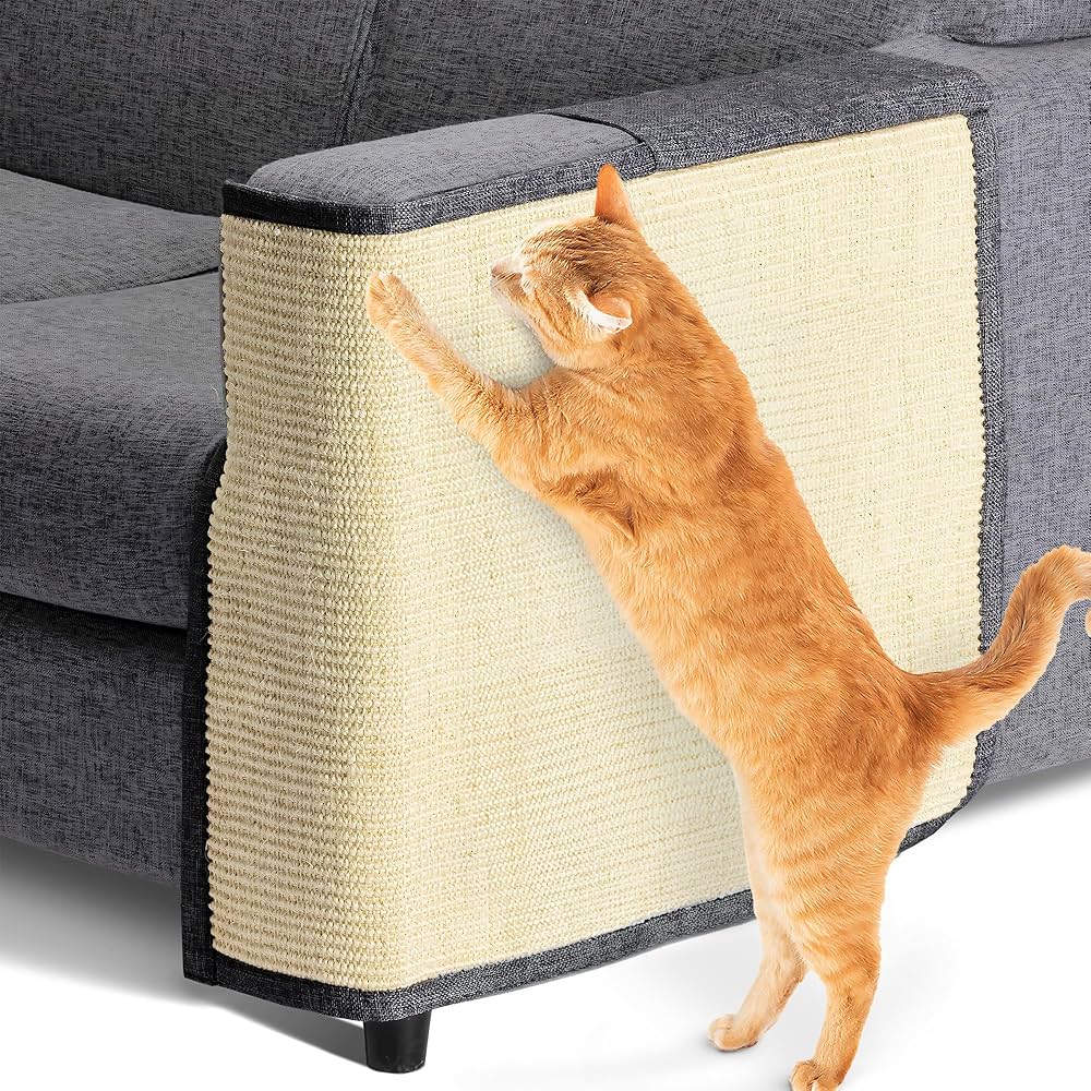 CleanGo™ Scratch Protector