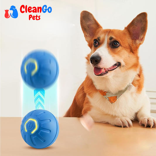 CleanGo™ Self-Bouncing Pet Ball