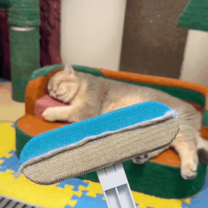 Pet Hair Lint Remover