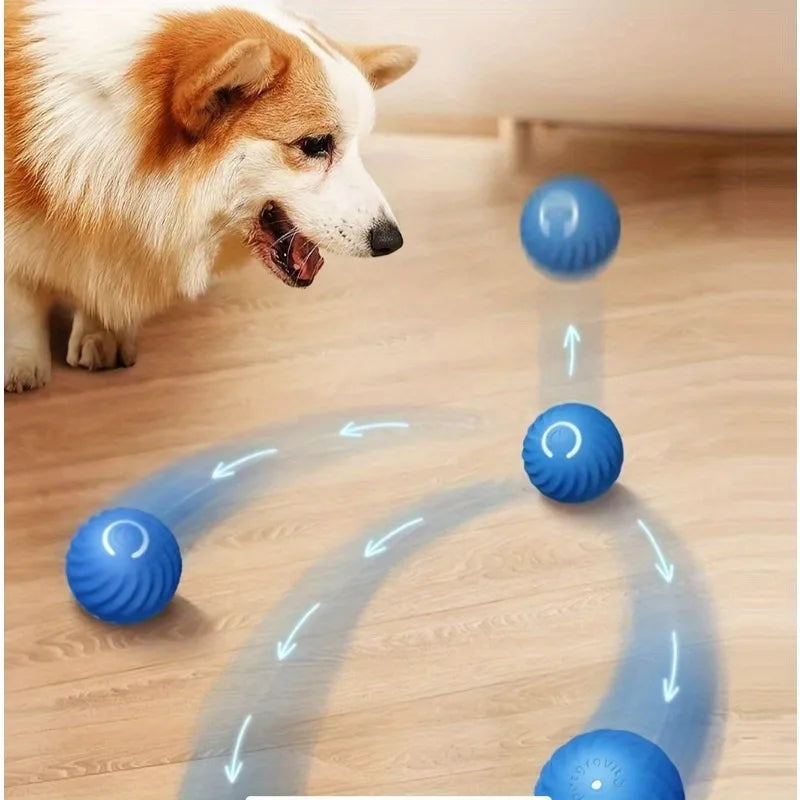 CleanGo™ Self-Bouncing Pet Ball