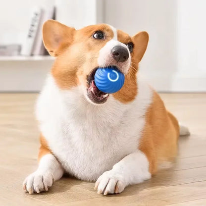 CleanGo™ Self-Bouncing Pet Ball
